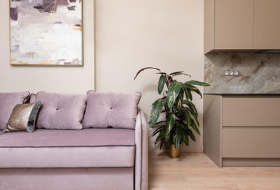 Divano Letto a Ribalta, eleganza e comodità