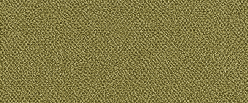 Enjoy MOSS